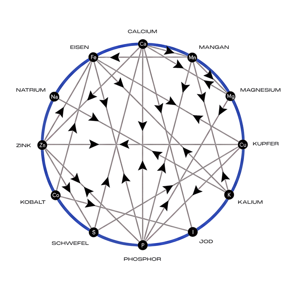 Was ist Mineral Balancing?